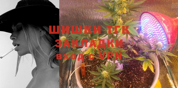дмт Алексеевка