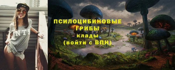 ALPHA PVP Алексин